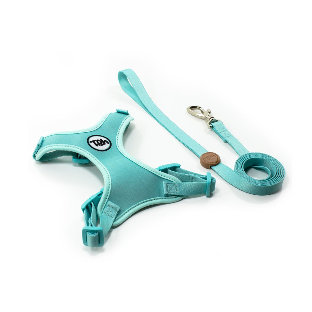 Peitoral com Guia Neo Maresia para Gatos